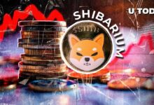 نشاط Shibarium ينهار 75%: ما الذي يحدث مع Shiba Inu؟