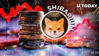 نشاط Shibarium ينهار 75%: ما الذي يحدث مع Shiba Inu؟