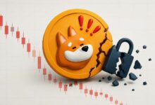 هيئة حوكمة "بونك" تخسر 20 مليون دولار في هجوم على الحوكمة مع انخفاض سعر BONK بنسبة 9%