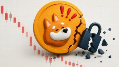 هيئة حوكمة "بونك" تخسر 20 مليون دولار في هجوم على الحوكمة مع انخفاض سعر BONK بنسبة 9%