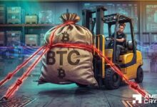 بيتكوين: BTC يفقد نصف قيمته، لكن هذا المقياس يُظهر تراكمًا هادئًا