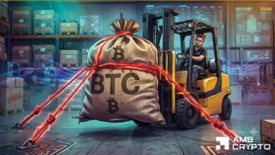 بيتكوين: BTC يفقد نصف قيمته، لكن هذا المقياس يُظهر تراكمًا هادئًا
