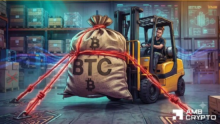 بيتكوين: BTC يفقد نصف قيمته، لكن هذا المقياس يُظهر تراكمًا هادئًا