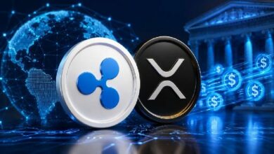 لماذا يمكن لعملة RLUSD من Ripple أن تعزز XRP حقًا، وفقًا لـ "Evernorth"