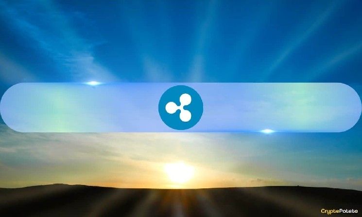 XRP يبقى ضمن أفضل 10 عملات رقمية لمدة 13 عامًا متتاليًا – إنجاز لا يحققه أي ألتكوين آخر