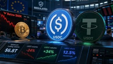 انخفاض بيتكوين بنسبة 14% في الربع الثاني مع تقلص سوق العملات المستقرة لأول مرة منذ 2023