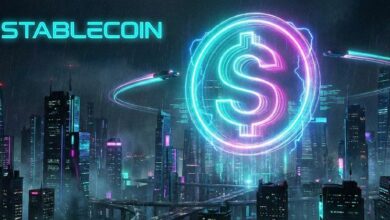 صندوق النقد الدولي يسلط الضوء على مخاطر العملات المستقرة في اقتصادات أسعار الصرف الثابتة