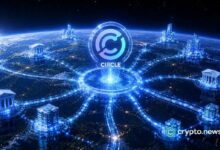 دائرة تواجه اختبار قانون "جينيوس" في 18 يوليو بينما سهم CRCL معرض لانخفاض جديد