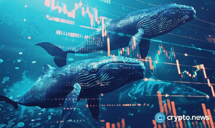 الحيتان تشتري بيتكوين بـ 16.7 مليار دولار بينما تفرغ وول ستريت من السوق
