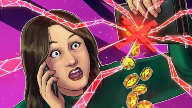 **ثانية فاي تعلن الإغلاق بعد سرقة 2.6 مليون دولار من ADA بسبب ثغرة في المحفظة**