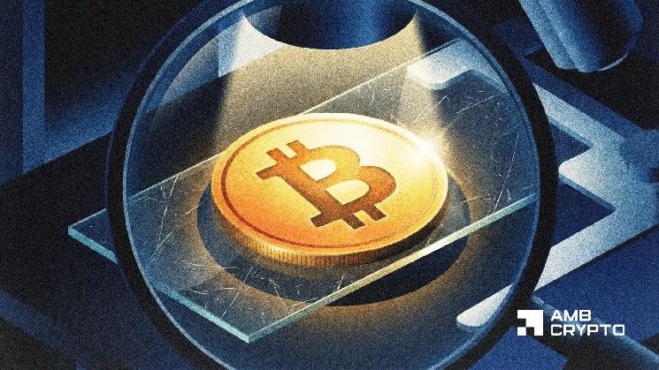 التاريخ يدعم ضعف البيتكوين في النصف الثاني – هل تعيد السيولة كتابة دورة 2026؟