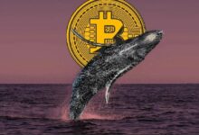 محافظ الحيتان البيتكوينية تواصل البيع، مما يضغط على مسار سعر بيتكوين