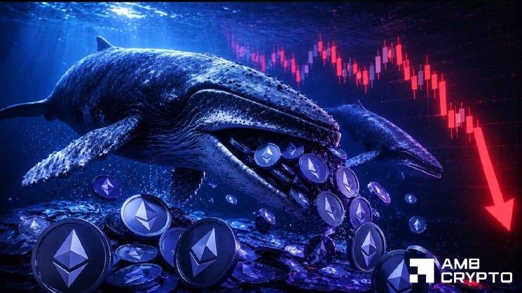 إيثريوم: ماذا يعني تجميع الحيتان بمبلغ 164 مليون دولار لتعافي ETH