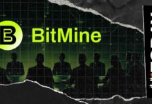 أكبر انطلاقة اختراقية منذ سنوات: BitMine تشيد بنمو سلسلة Robinhood Chain