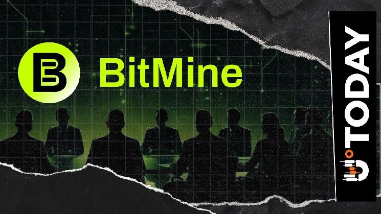 أكبر انطلاقة اختراقية منذ سنوات: BitMine تشيد بنمو سلسلة Robinhood Chain