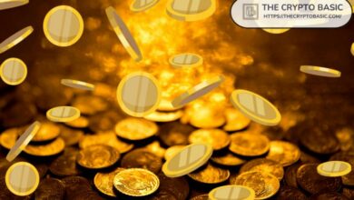متداول يحقق 535 ألف دولار من بيع عملة CASHCAT على المكشوف في يومين: هل انتهت ضجة عملات الميم بعد انهيار 72%؟
