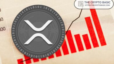 **XRP يتجاوز 8 ملايين حساب نشط بعد 13 عامًا**