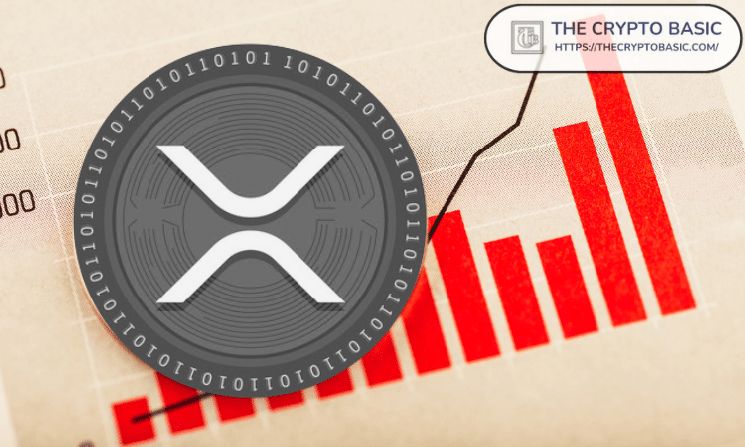 **XRP يتجاوز 8 ملايين حساب نشط بعد 13 عامًا**