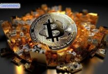 تعدين العملات الرقمية في أوزبكستان: كيف ستعمل وادي بيشكالا للتعدين؟