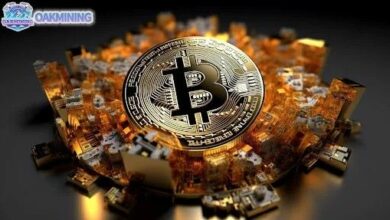 تعدين العملات الرقمية في أوزبكستان: كيف ستعمل وادي بيشكالا للتعدين؟