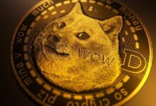 عملاق وول ستريت يرد على الانتقادات حول دوجكوين (DOGE)