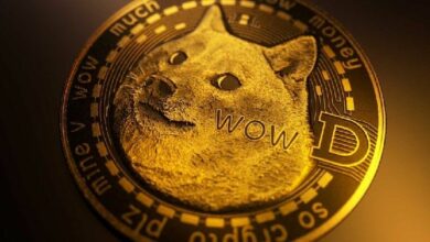 عملاق وول ستريت يرد على الانتقادات حول دوجكوين (DOGE)