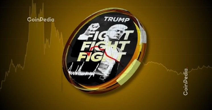 السيناتور وارن تصف ميم كوين ترامب بـ"احتيال غير قانوني" وتطالب هيئة الأوراق المالية بالتحقيق