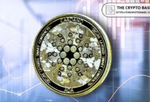 كاردانو توسّع قابلية التشغيل البيني مع إطلاق أول تكامل IBC مع إنجكتيف