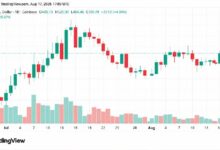ZEC يتجاوز 500 دولار مع مكاسب يومية 4.3% تبتعد بـ XMR عن المنافسة