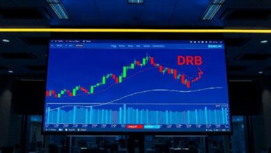 Coinbase توسع التداول الفوري بإدراج BASECAT وDRB