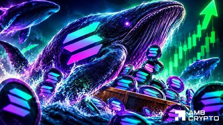 حيتان سولانا تشتري SOL بقيمة 41.5 مليون دولار – هل يستعيد السعر مستوى 110 دولارات؟