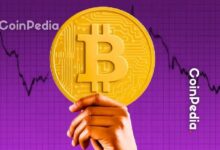 بيتكوين تنخفض 49% عن القمة، لكن المعدّنين لا يُظهرون أي علامات استسلام