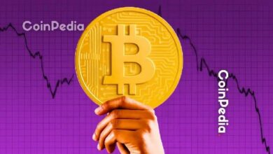 بيتكوين تنخفض 49% عن القمة، لكن المعدّنين لا يُظهرون أي علامات استسلام