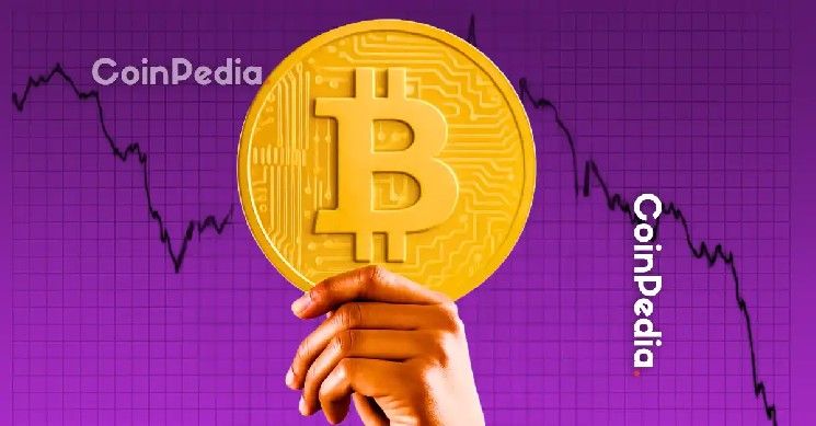 بيتكوين تنخفض 49% عن القمة، لكن المعدّنين لا يُظهرون أي علامات استسلام