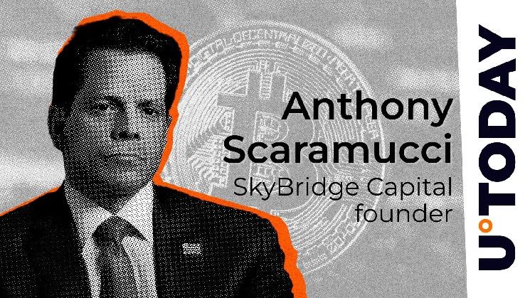 سكاراموتشي يذكر سببًا واحدًا للتفاؤل بشأن سوق البيتكوين الهابط