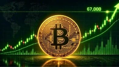 هل يصل سعر البيتكوين إلى 100 ألف دولار أو أكثر قبل نهاية العام؟