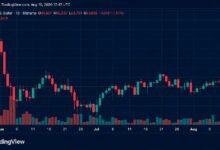 بيتكوين تهبط دون 64,000 دولار مع بيع استراتيجي لـ 1,690 عملة رقمية