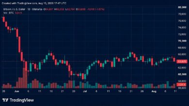 بيتكوين تهبط دون 64,000 دولار مع بيع استراتيجي لـ 1,690 عملة رقمية