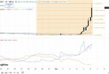 توقع سعر Heima: ثيران HEI يستهدفون 0.60 دولار بعد ارتفاع أسبوعي بنسبة 428%