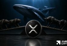 حيتان XRP تقود 55% من عمليات سحب بينانس – هل مستوى 1 دولار آمن؟