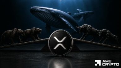 حيتان XRP تقود 55% من عمليات سحب بينانس – هل مستوى 1 دولار آمن؟