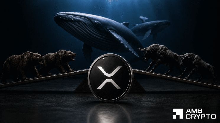 حيتان XRP تقود 55% من عمليات سحب بينانس – هل مستوى 1 دولار آمن؟