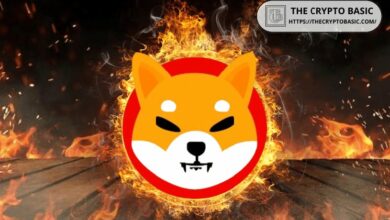 معدل حرق Shiba Inu ينعكس بحدة مع انخفاض الحرق اليومي إلى 33 دولارًا فقط من SHIB