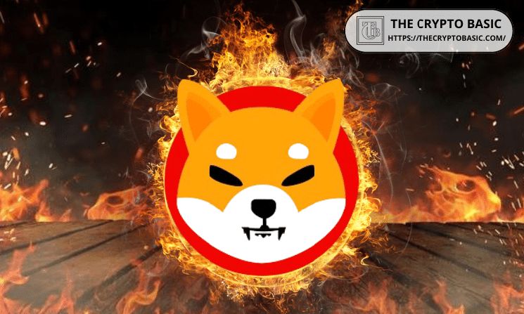 معدل حرق Shiba Inu ينعكس بحدة مع انخفاض الحرق اليومي إلى 33 دولارًا فقط من SHIB