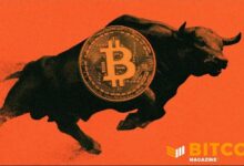 بيتكوين يسجل أفضل أسبوع له منذ 2023 مع استمرار تصفية صفقات البيع على المكشوف