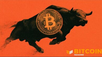بيتكوين يسجل أفضل أسبوع له منذ 2023 مع استمرار تصفية صفقات البيع على المكشوف