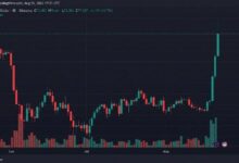 بيتكوين يحافظ على 77 ألف دولار مع استمرار المضاربين على الصعود في أفضل أسبوع لشهر أغسطس
