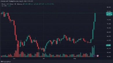 بيتكوين يحافظ على 77 ألف دولار مع استمرار المضاربين على الصعود في أفضل أسبوع لشهر أغسطس