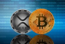 مفارقة XRP: لماذا تنهار عملة ريبل "نجم الشمال" أمام الدولار بينما تستعد للتغلب على البيتكوين
