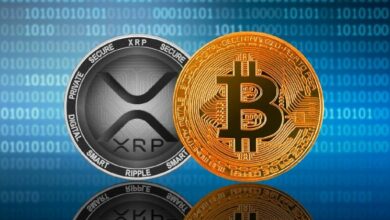 مفارقة XRP: لماذا تنهار عملة ريبل "نجم الشمال" أمام الدولار بينما تستعد للتغلب على البيتكوين